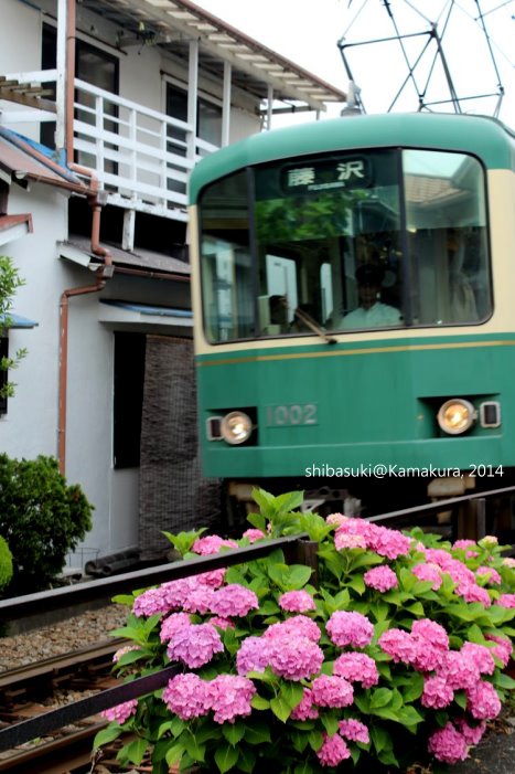 20140617_Kamakura-139_1