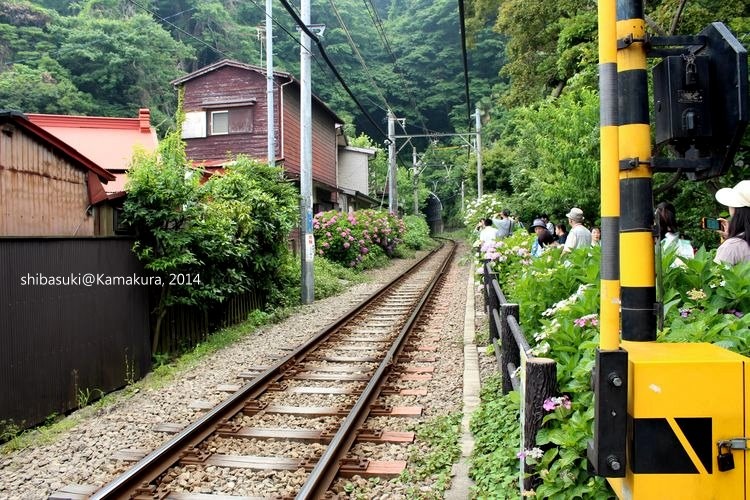 20140617_Kamakura-167_御靈神社_1