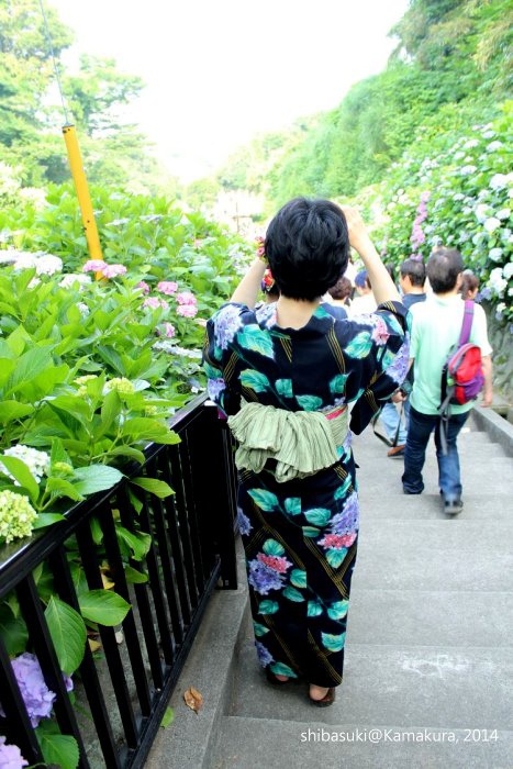 20140617_Kamakura-222_成就院_1