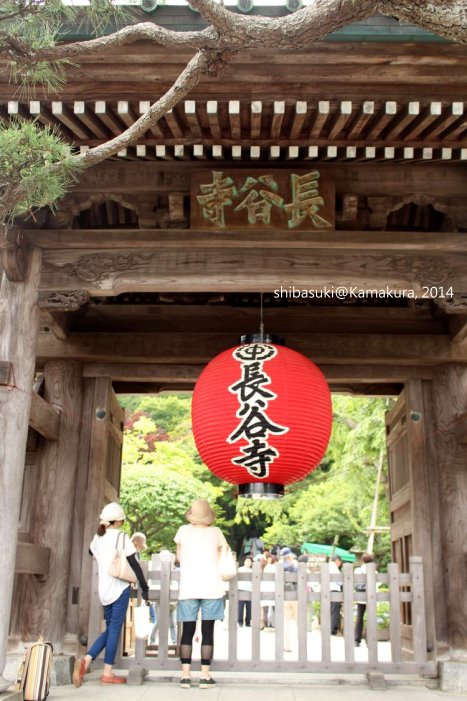 20140617_Kamakura-60_長谷寺_1