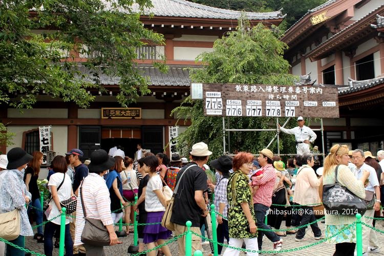 20140617_Kamakura-68_長谷寺_1