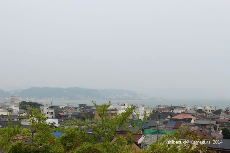 20140617_Kamakura-70_長谷寺_1