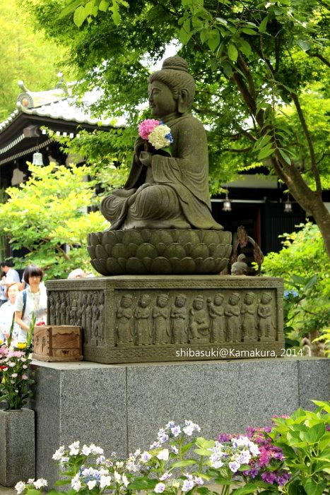 20140617_Kamakura-72_長谷寺_1