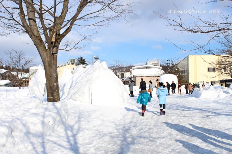 20150215_秋田-135_橫手_s.JPG