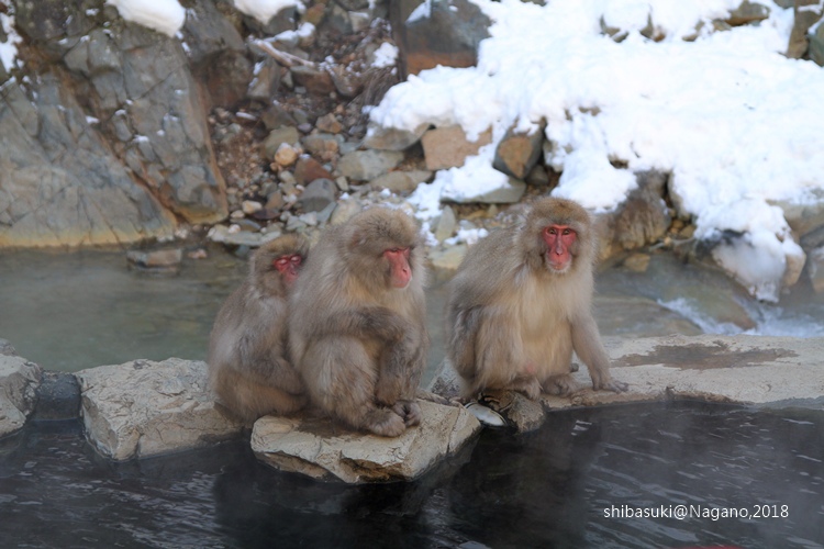 TS_b0537678S TS_b0537678S