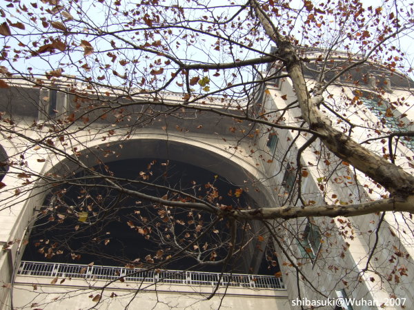 20071219_Wuhan-31_長江一橋.JPG