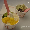 yofroyo 10.jpg