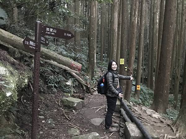 IMG_8241.JPG IMG_8241.JPG