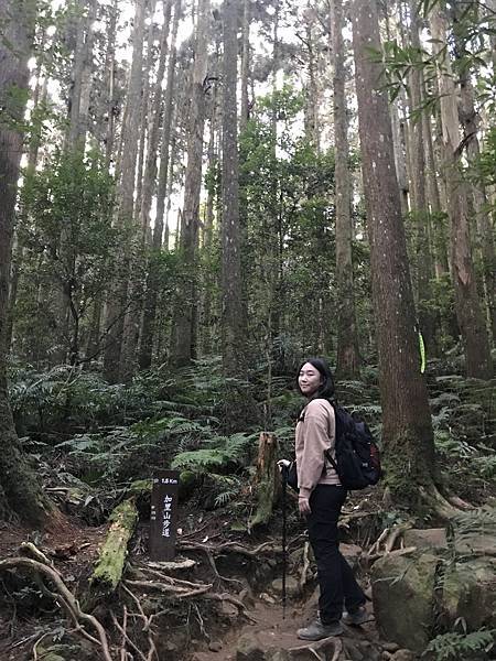 IMG_8278.JPG IMG_8278.JPG