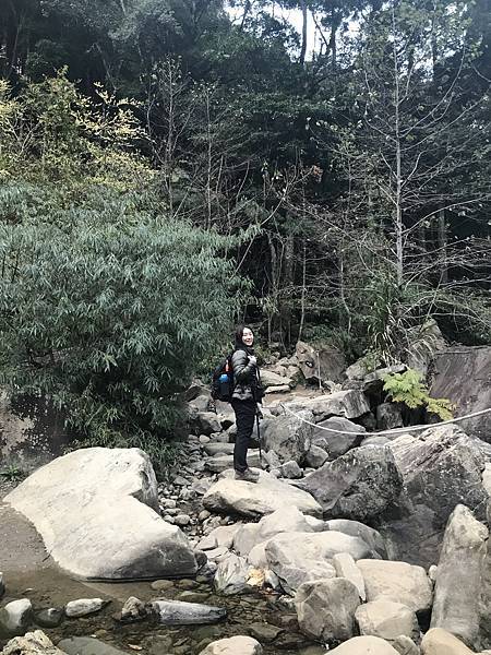 IMG_8250.JPG IMG_8250.JPG