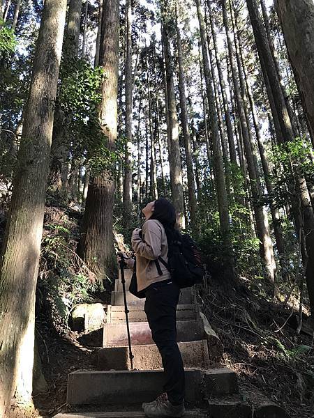 IMG_8297.JPG IMG_8297.JPG