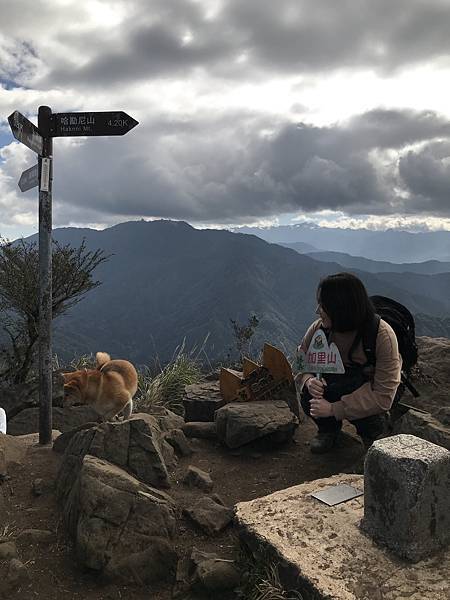 IMG_8401.JPG IMG_8401.JPG