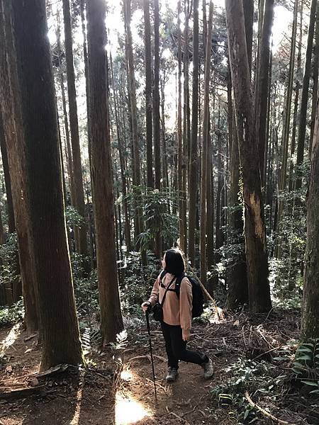 IMG_8304.JPG IMG_8304.JPG