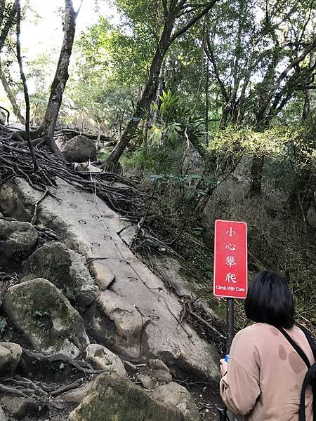 IMG_8321.JPG IMG_8321.JPG