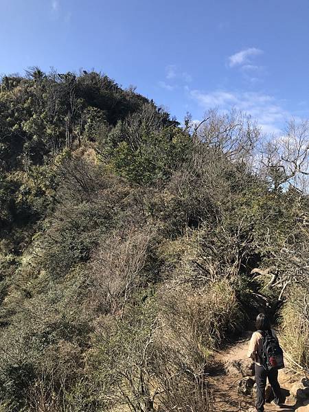 IMG_8346.JPG IMG_8346.JPG