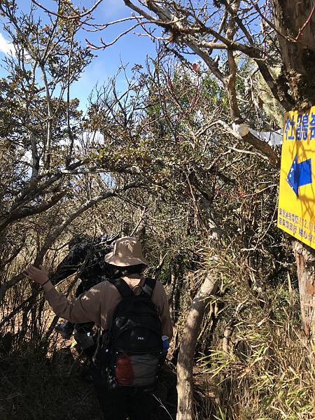 IMG_8443.JPG IMG_8443.JPG