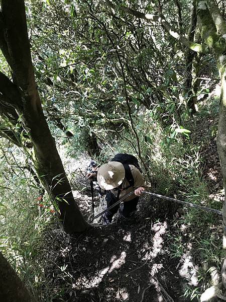 IMG_8456.JPG IMG_8456.JPG