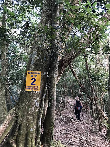 IMG_8494.JPG IMG_8494.JPG