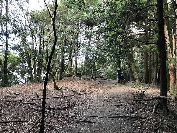 IMG_8498.JPG IMG_8498.JPG