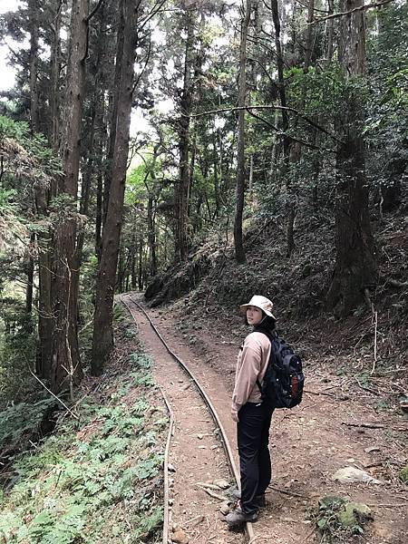 IMG_8501.JPG IMG_8501.JPG