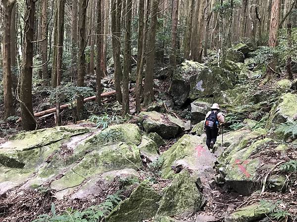 IMG_8507.JPG IMG_8507.JPG