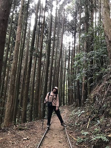 IMG_8521.JPG IMG_8521.JPG