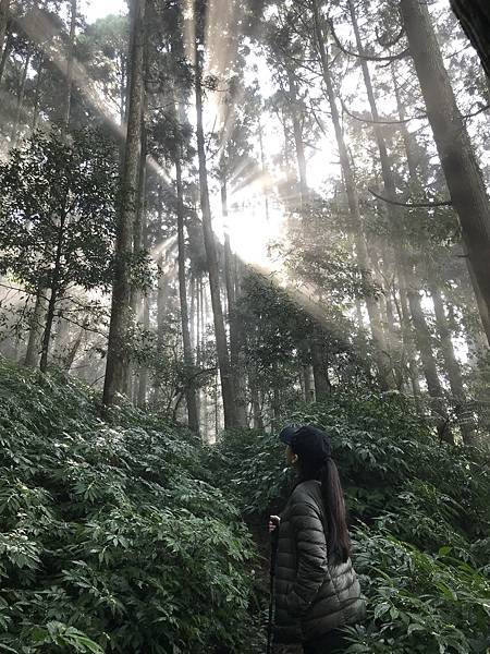 【苗栗】南庒鄉必遊景點NO.1，網路推薦美食打卡