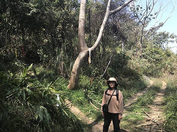 IMG_8893.JPG IMG_8893.JPG