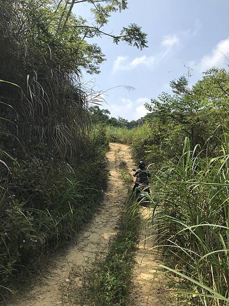 IMG_8884.JPG IMG_8884.JPG