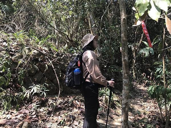 IMG_8900.JPG IMG_8900.JPG