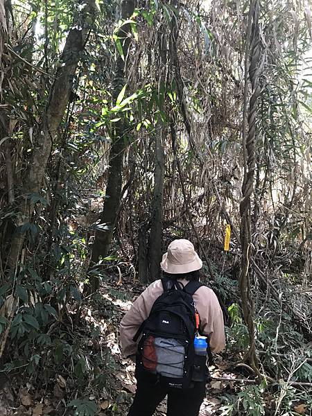 IMG_8904.JPG IMG_8904.JPG