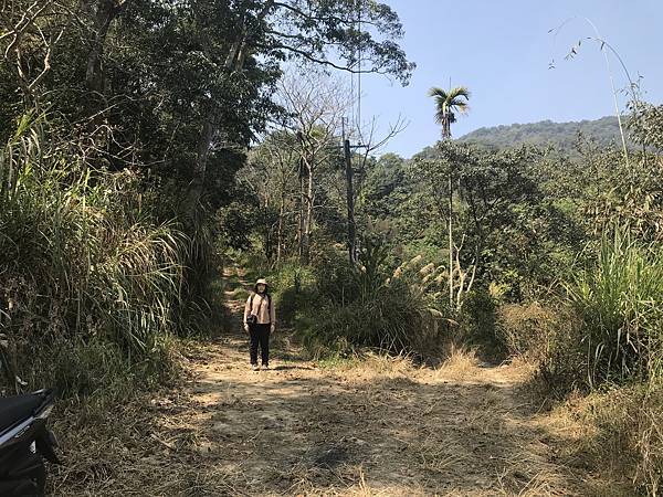 IMG_8887.JPG IMG_8887.JPG