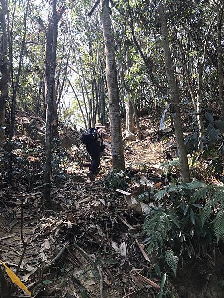 IMG_8909.JPG IMG_8909.JPG