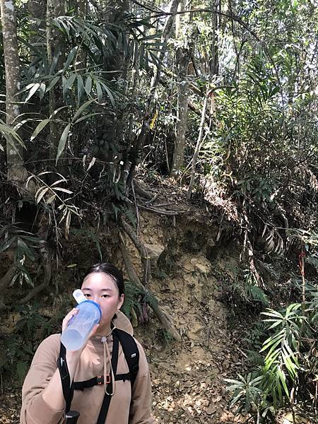 IMG_8918.JPG IMG_8918.JPG