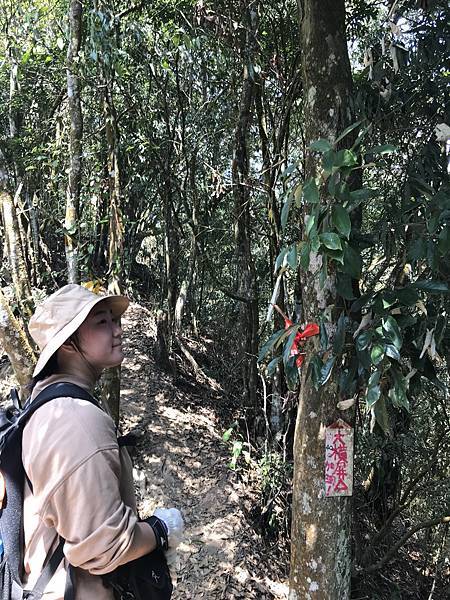 IMG_8930.JPG IMG_8930.JPG