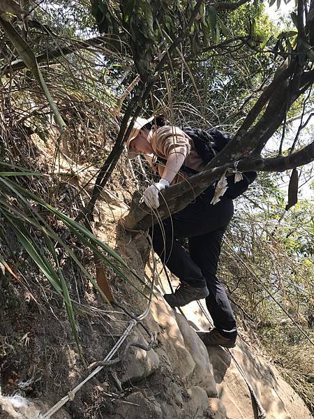 IMG_9010.JPG IMG_9010.JPG