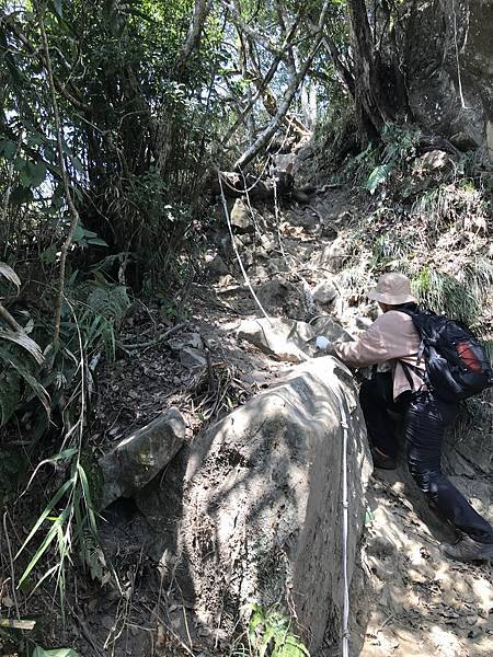 IMG_9004.JPG IMG_9004.JPG