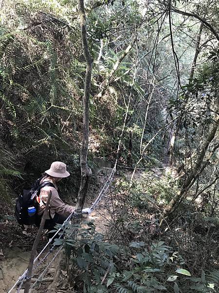 IMG_8994.JPG IMG_8994.JPG