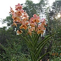 DSCN1277