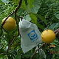 DSCN1166