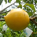 DSCN1165