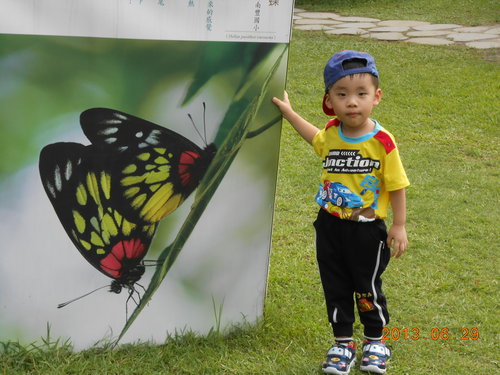 57050d33c0aaa0c6166bb5af49b2215e