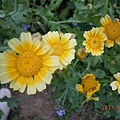 c9ff6e091d2d665ee8a36ed979da4484