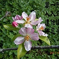 3287ab4f1ae7011187b5643e6dfa3fe1