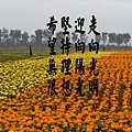 10412e6edca3ee7cc157b908daa24265