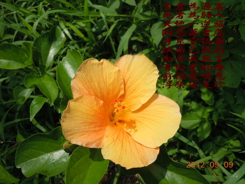 5a4f6837f66c8898608d50b75a1fa9b7
