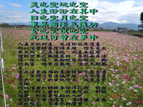 8b176d9024ffc73531be47c25105483b