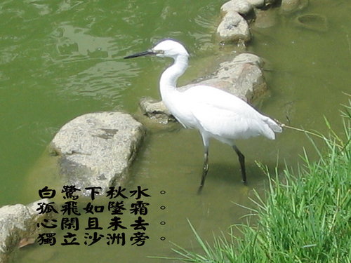 1ba0d08368a46f9d16491aee2d65ed44