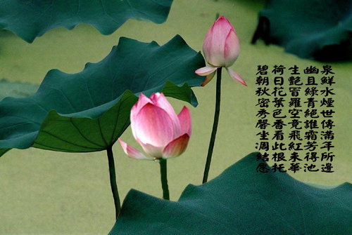 196f53d37a9cc8cbb2fe51267a9d68f4
