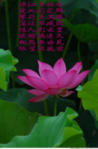 845a944ddfaa794d1b223f93d228c85f